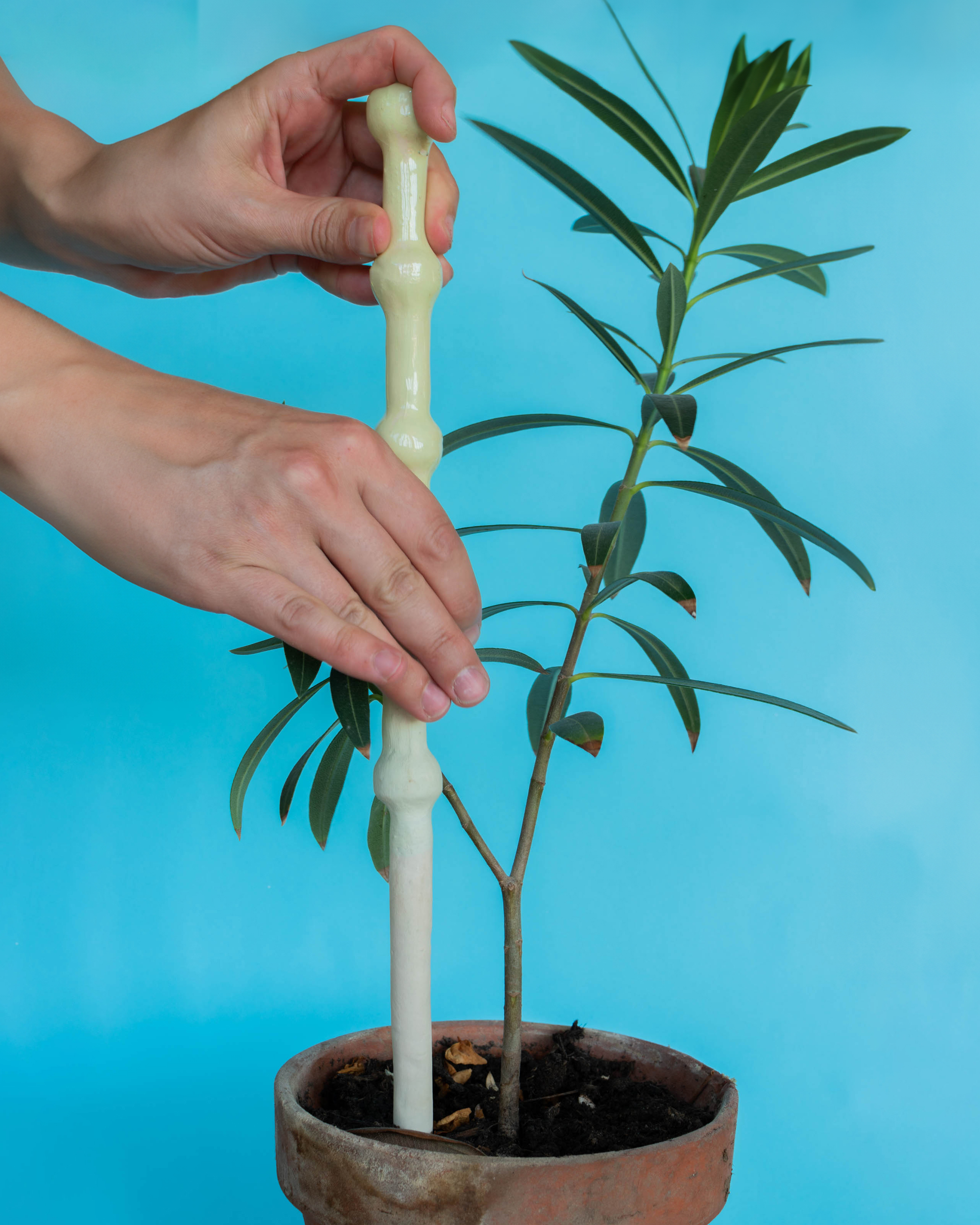 Studio_echelle_un_Plantule_Chloe_Guillemart_Emma_Gitzinger_ESCH22%2810%29