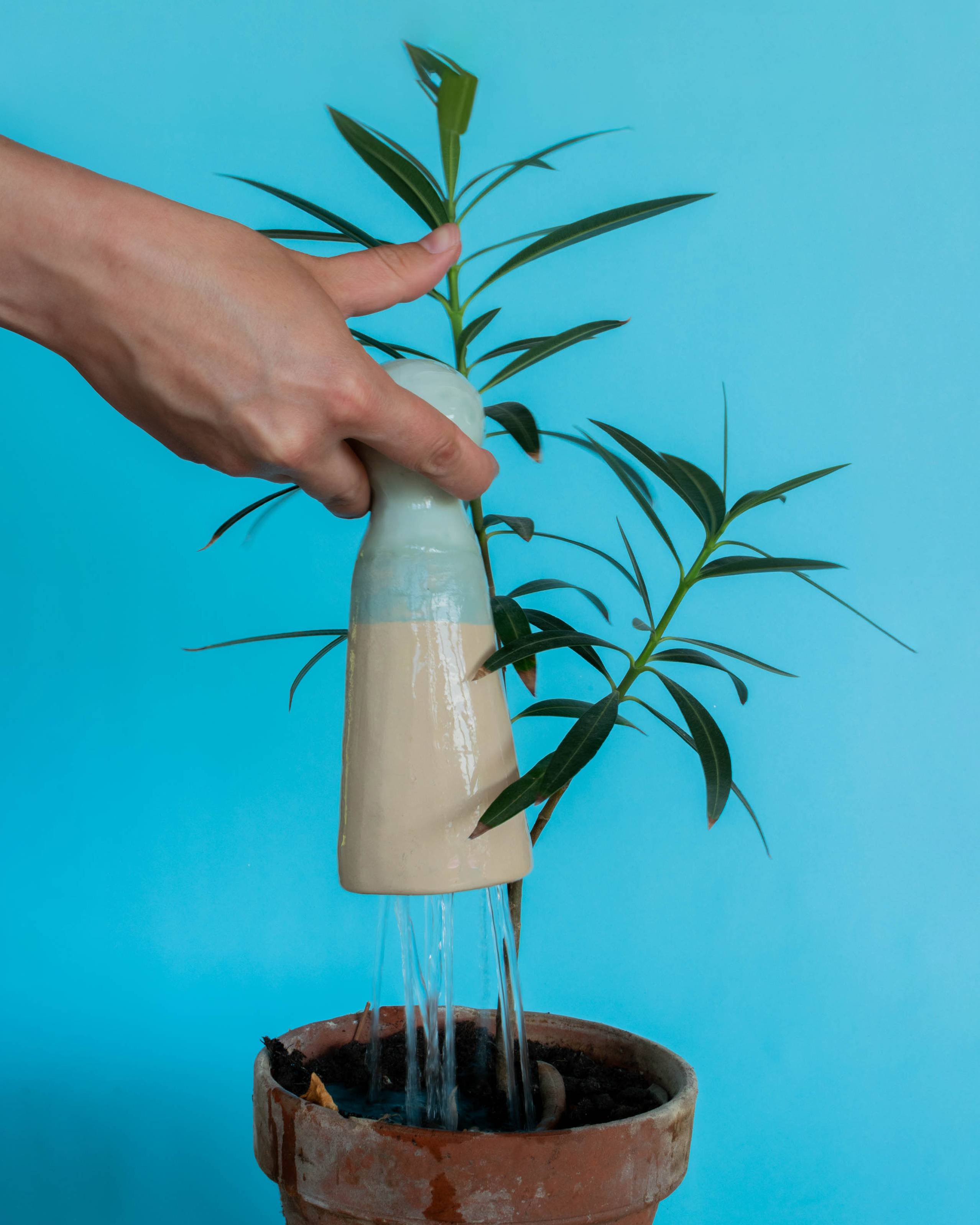 Studio_echelle_un_Plantule_Chloe_Guillemart_Emma_Gitzinger_ESCH22%283%29