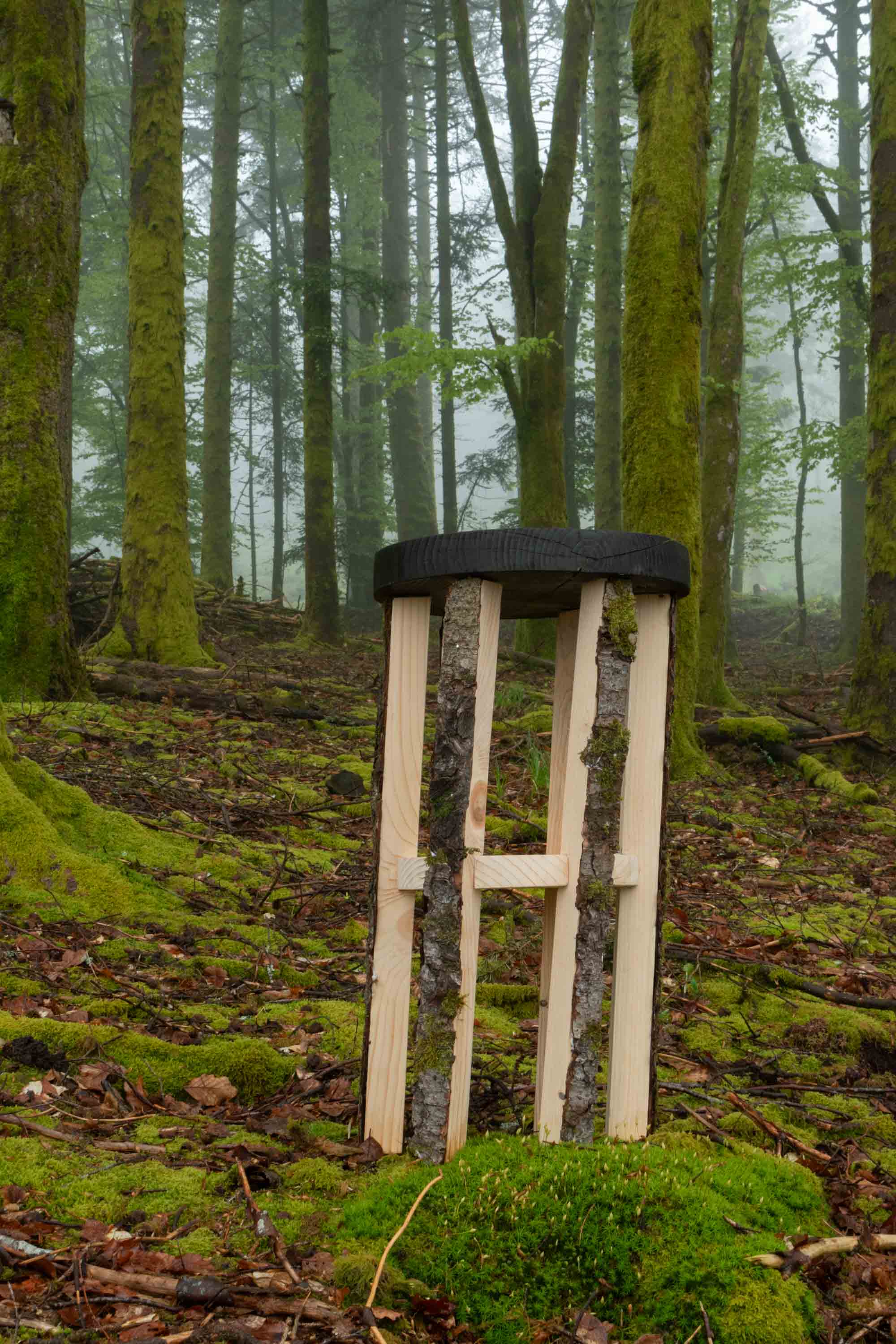 Studio_echelle_un_Plantule_Chloe_Guillemart_Emma_Gitzinger_ESCH22%283%29