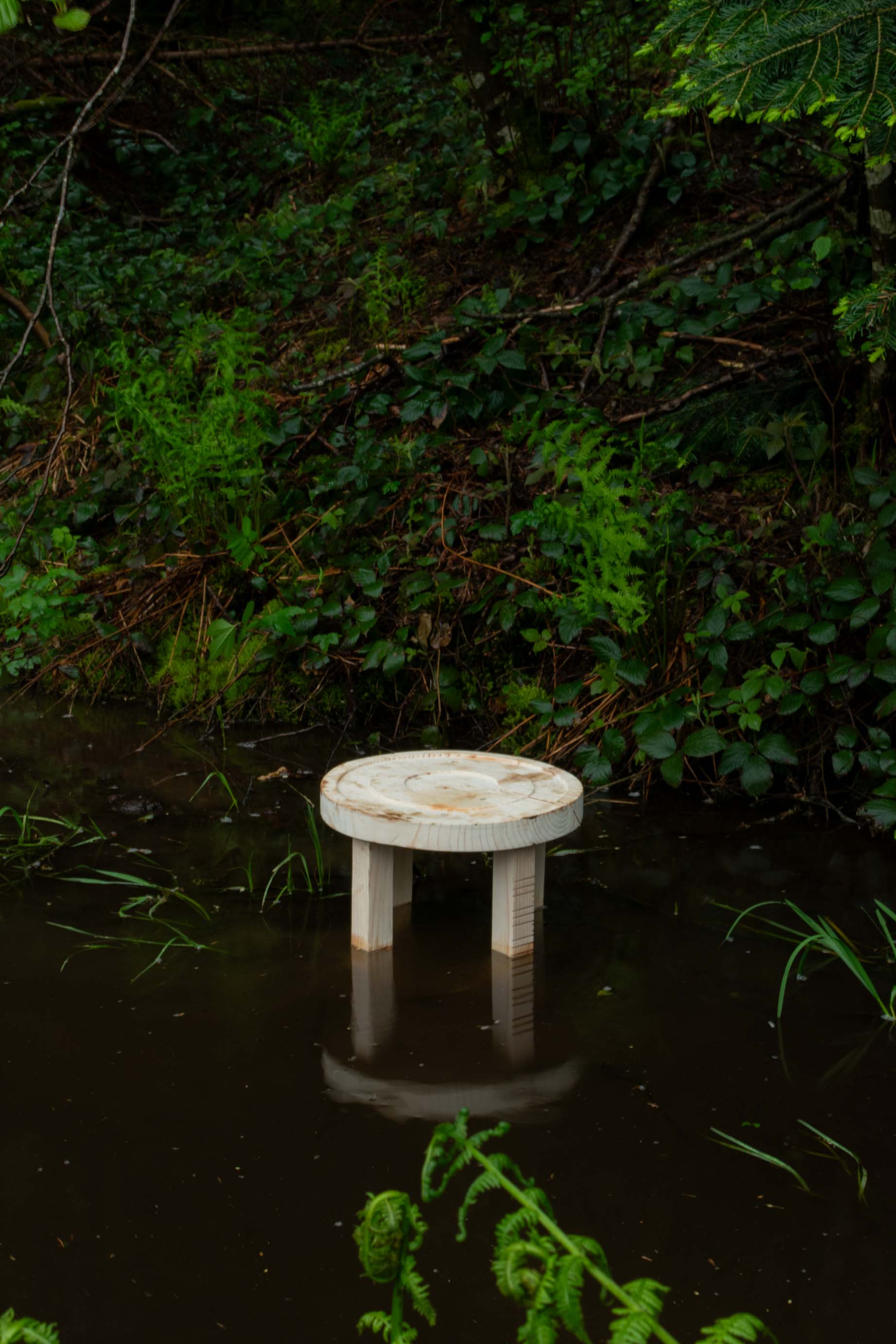 Studio_echelle_un_Plantule_Chloe_Guillemart_Emma_Gitzinger_ESCH22%283%29