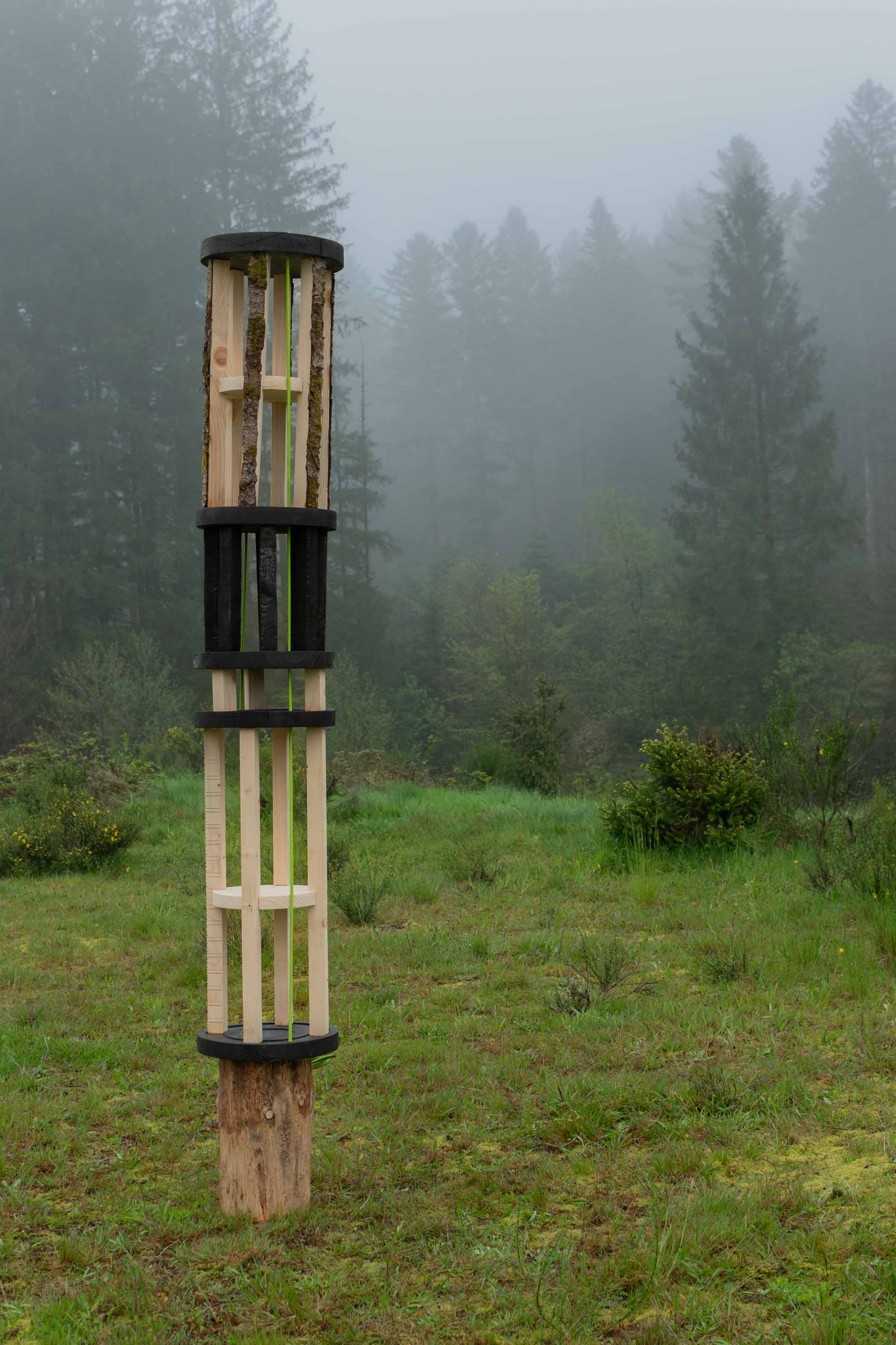 Studio_echelle_un_Plantule_Chloe_Guillemart_Emma_Gitzinger_ESCH22%2816%29