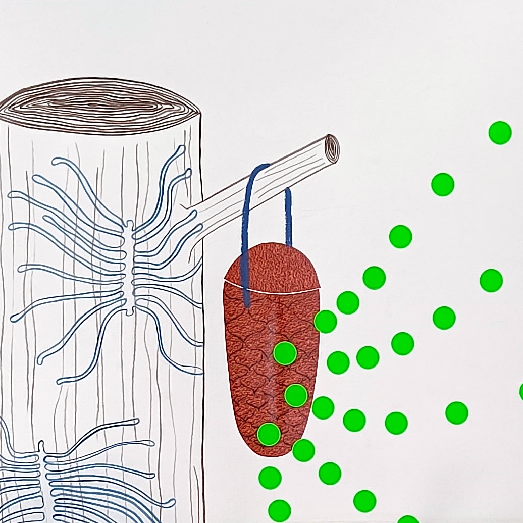 placeholder image-sq