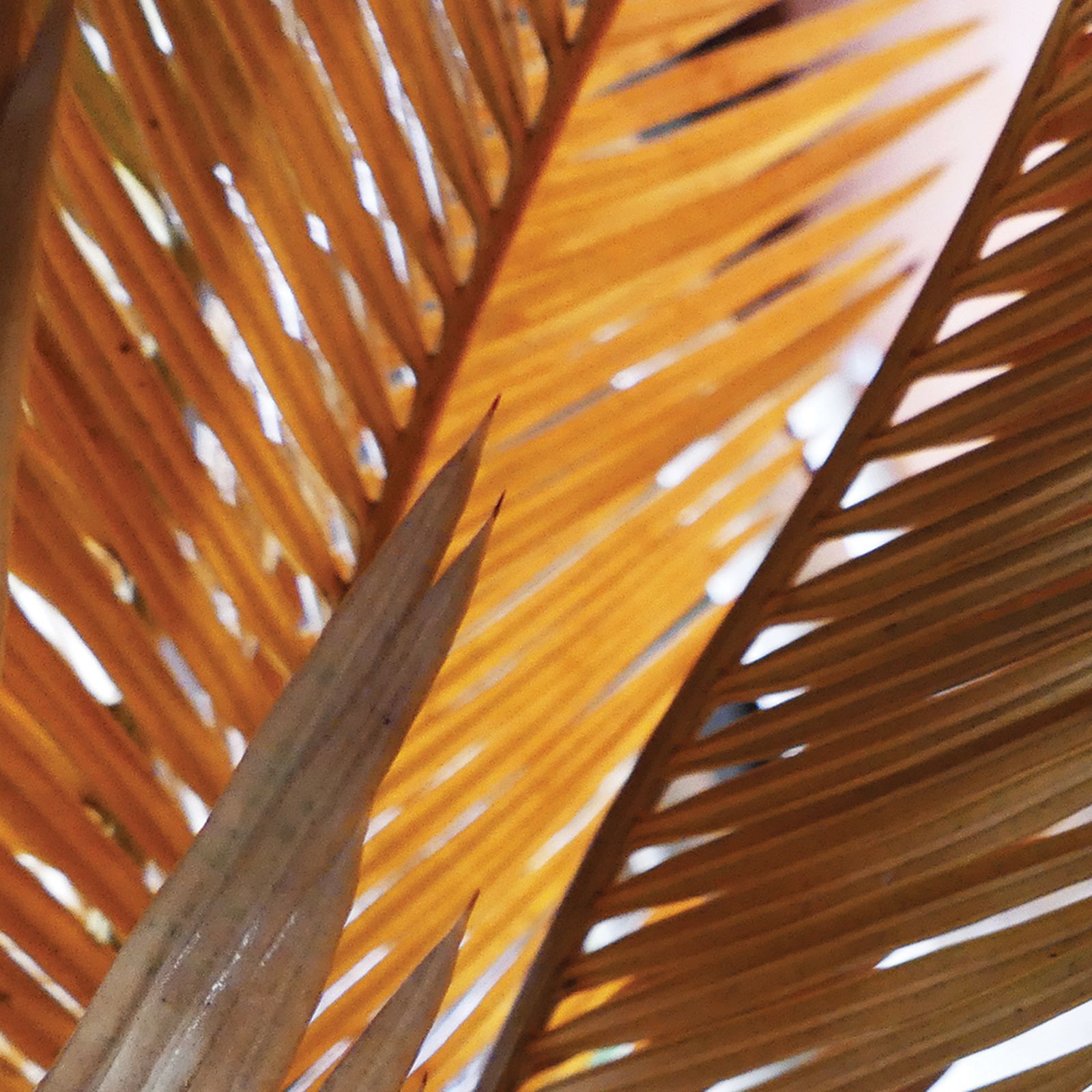 Studio_echelle_un_Effluves_Chloe_Guillemart_Emma_Gitzinger%2815%29_result