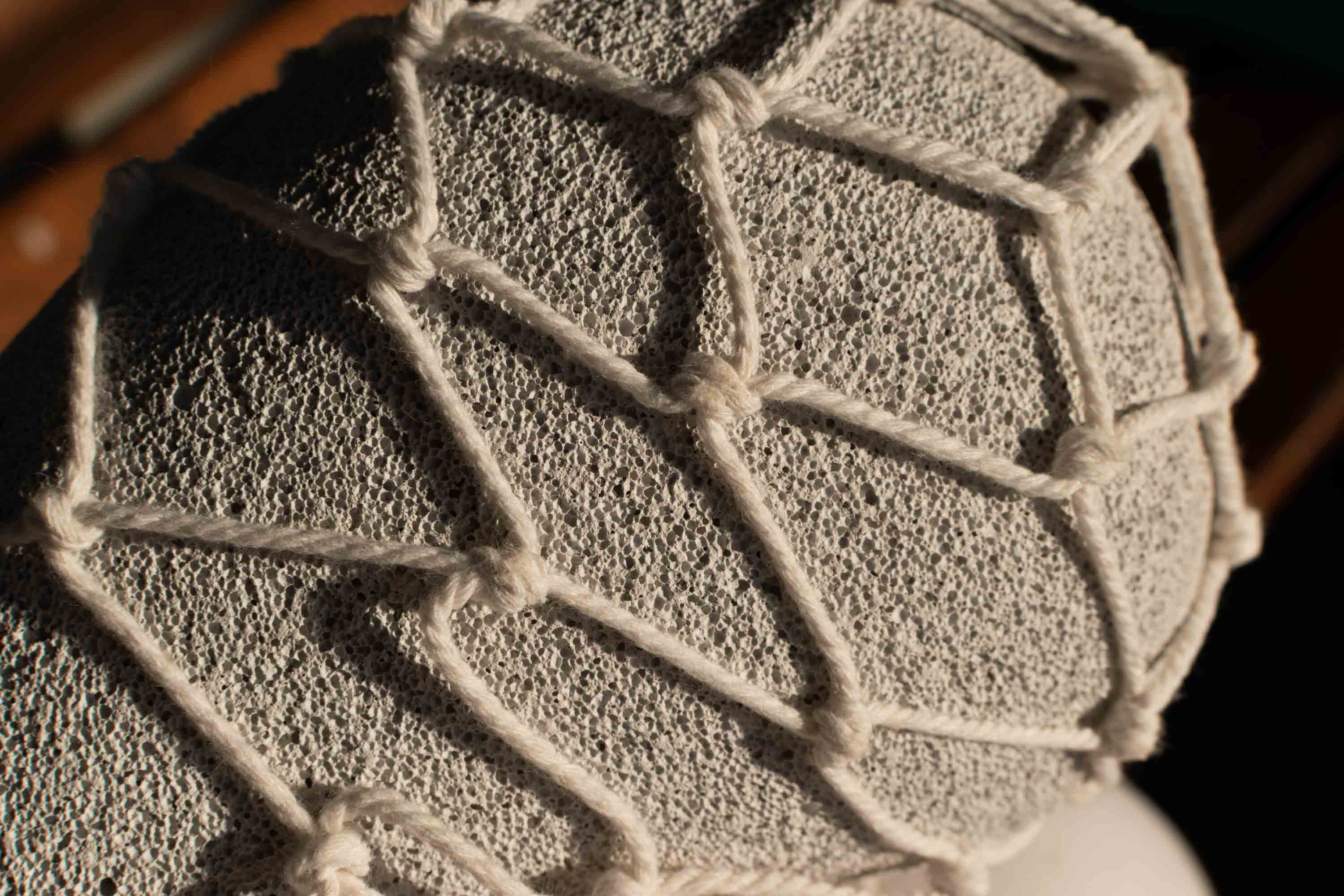 Studio_echelle_un_Plantule_Chloe_Guillemart_Emma_Gitzinger_ESCH22%2816%29_result_result