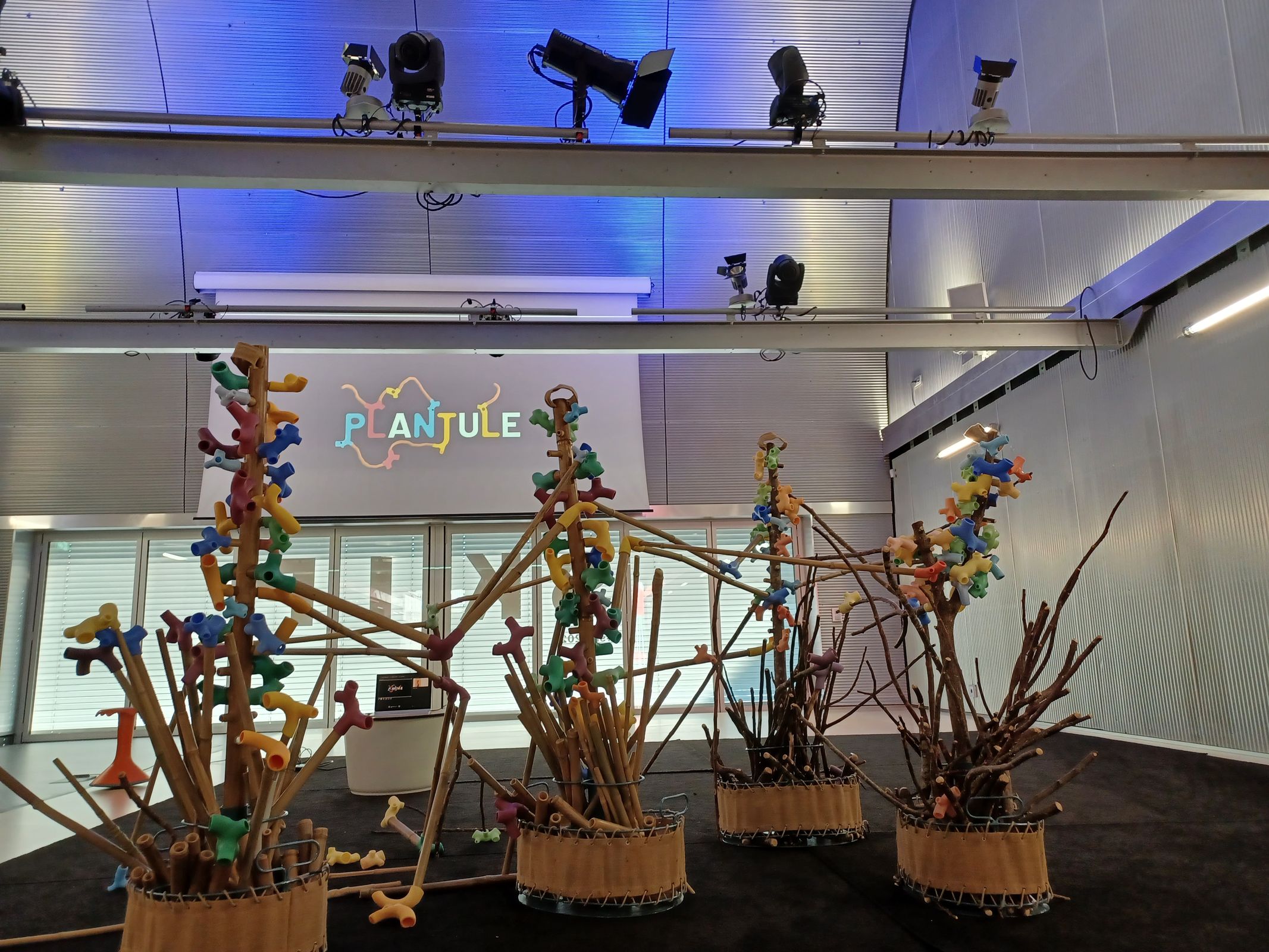 Studio_echelle_un_Plantule_Chloe_Guillemart_Emma_Gitzinger_ESCH22%2816%29_result_result