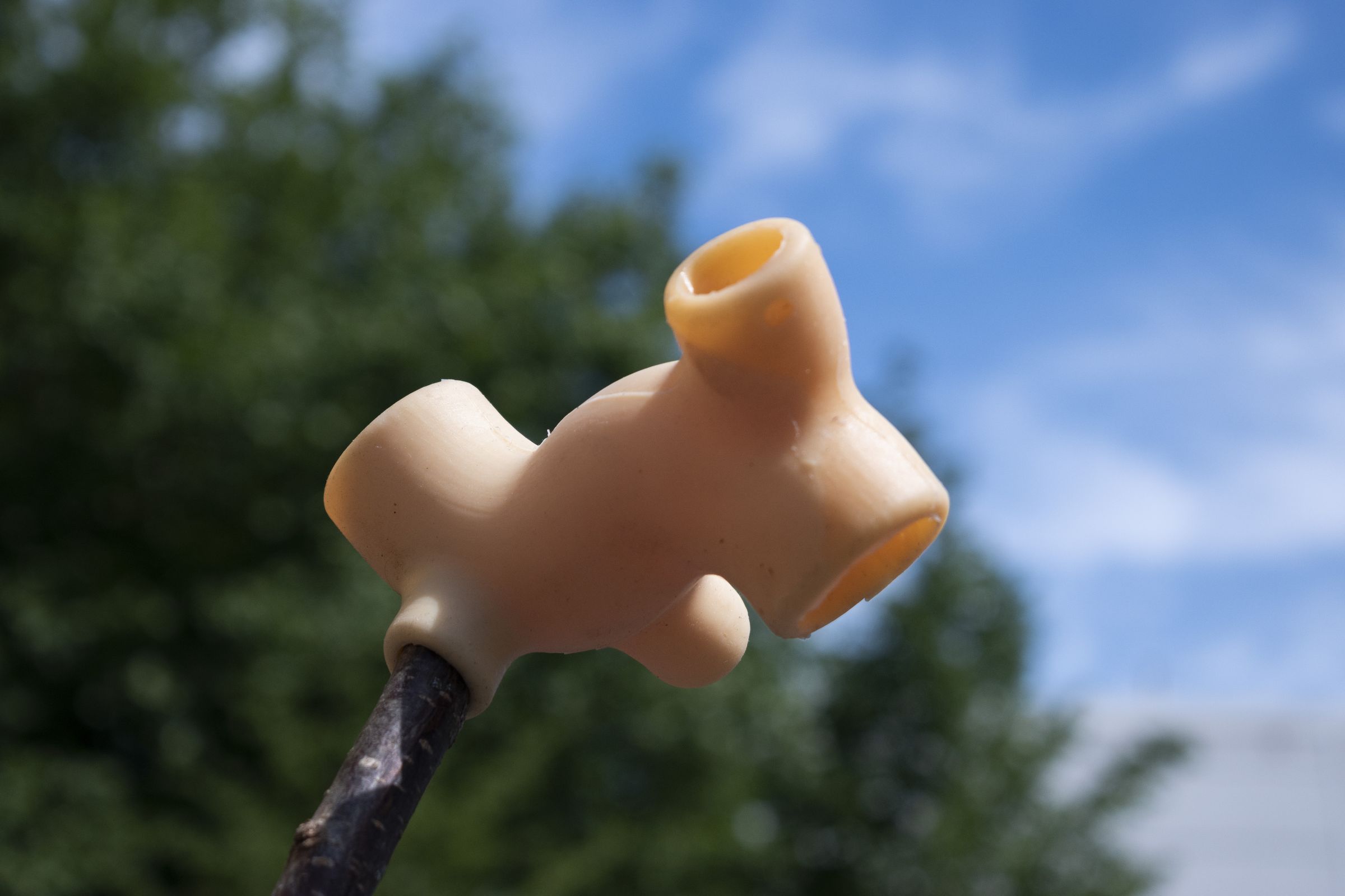 Studio_echelle_un_Plantule_Chloe_Guillemart_Emma_Gitzinger_ESCH22%287%29_result